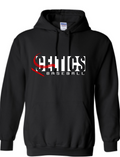 PCHS Celtics Baseball Gildan Hooded Sweatshirt Available in 2 different colors