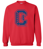 Crusaders Letter C Sweatshirt (hooded or crewneck)