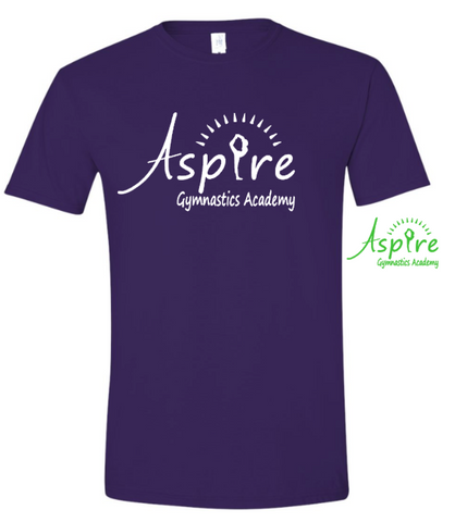 Aspire Logo Purple Boxy T shirt