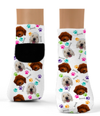 Custom Photo Dog Socks- Adult-Ankle or Crew Socks