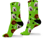 Custom Photo Dog Socks- Adult-Ankle or Crew Socks