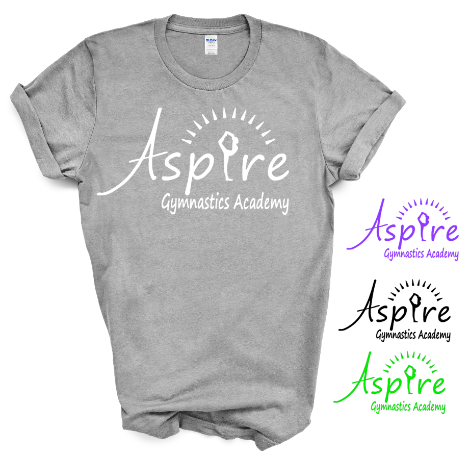 Aspire Logo Gray Boxy T shirt