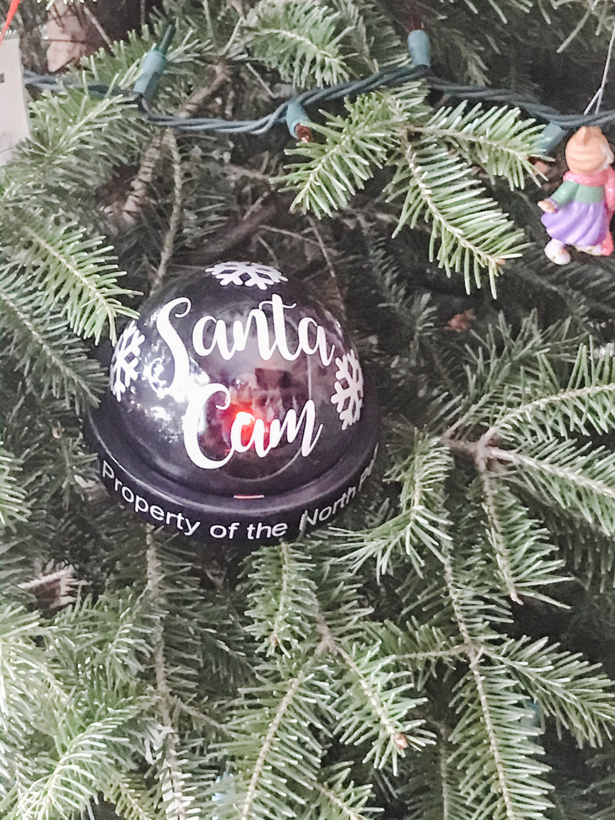 Santa Cam fake camera