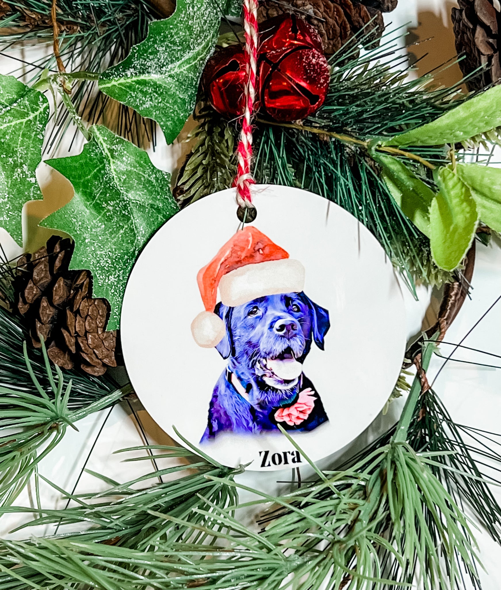 Watercolor Pet Portrait with Santa Hat
