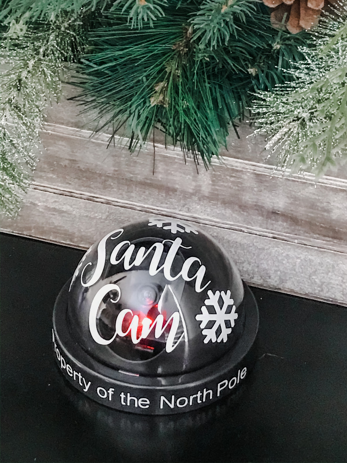 Santa Cam fake camera